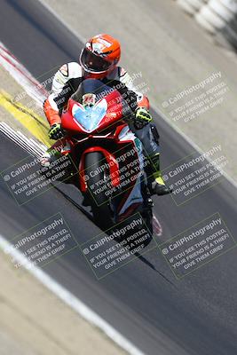 media/Aug-31-2024-TrackDaz (Sat) [[d39206e9d9]]/A Group/10a (Turn 3)/